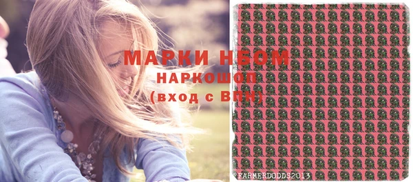 прущие грибы Алексеевка
