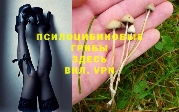 spice Алзамай