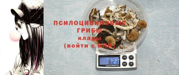 прущие грибы Алексеевка