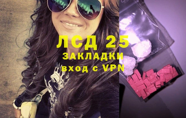 прущие грибы Алексеевка