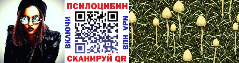 Галлюциногенные грибы прущие грибы Белореченск