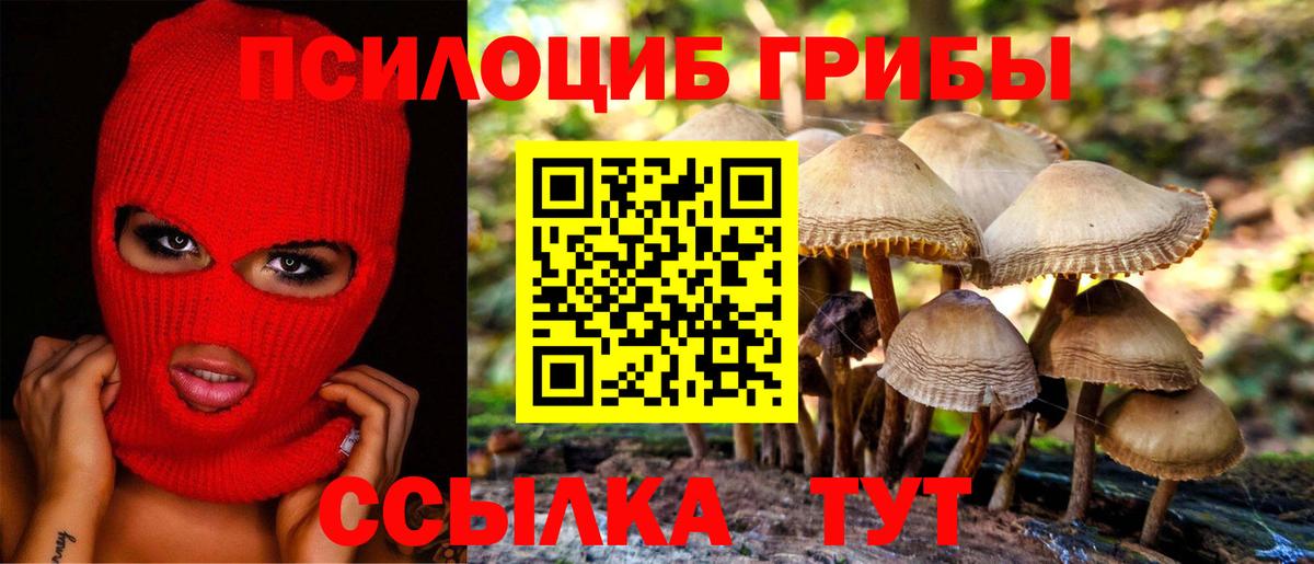 Белореченск  Псилоцибиновые грибы прущие грибы  Вход с VPN 